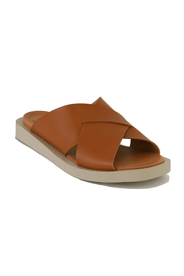vicente camel