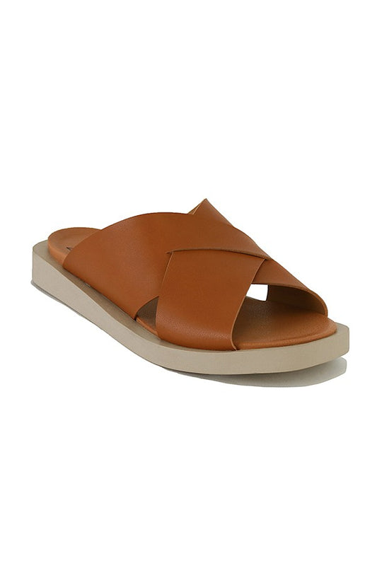vicente camel