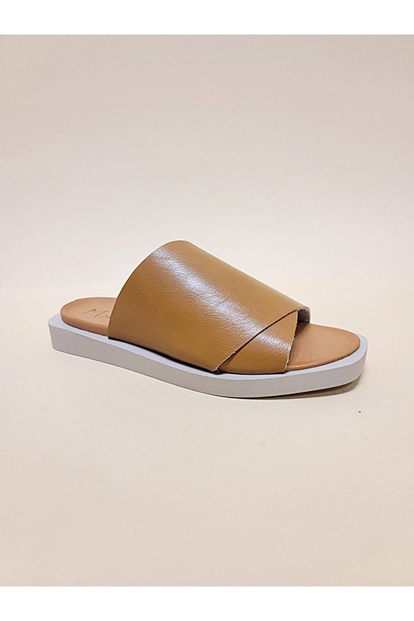 jasper camel