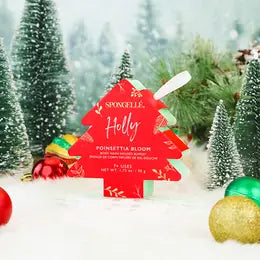 Poinsettia Bloom (Holly) Holiday Tree Ornament Buffer Spongelle