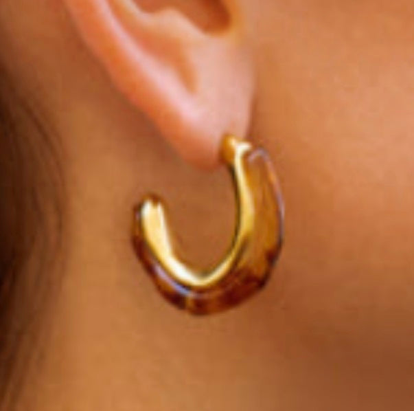 Amber earrings Alco