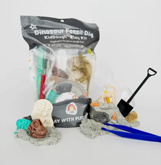 Dinosaur fossil dig Kiddough Play Kit