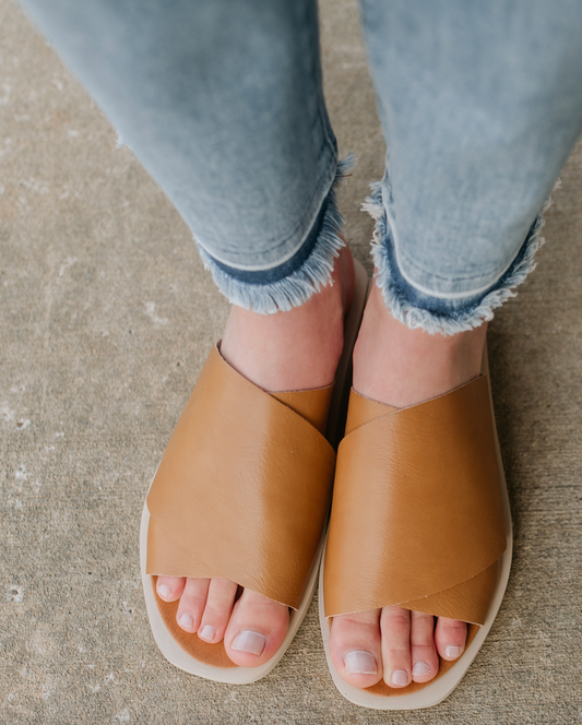 jasper camel