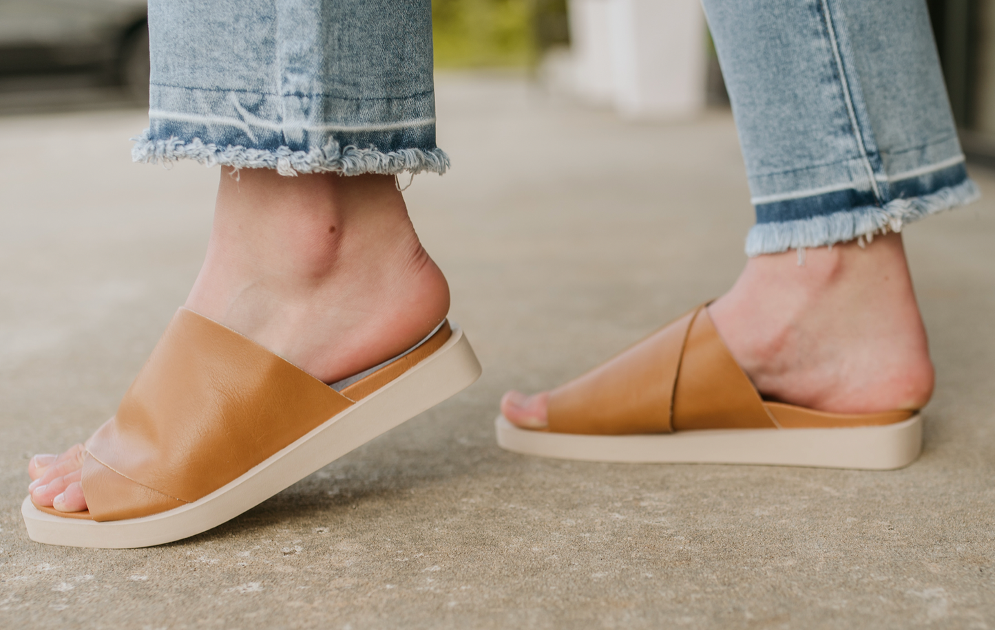 jasper camel