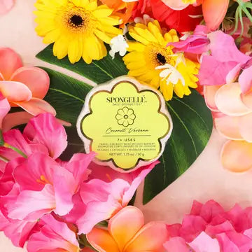 Coconut Verbena Daisy Spongette SPONGELLE