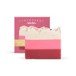 Holiday - Cranberry Chutney Soap (Boxed) - Stocking Stuffers FINCHBERRY