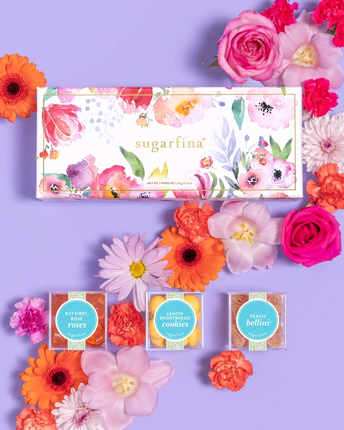 Watercolor - 3pc Candy Bento Box®